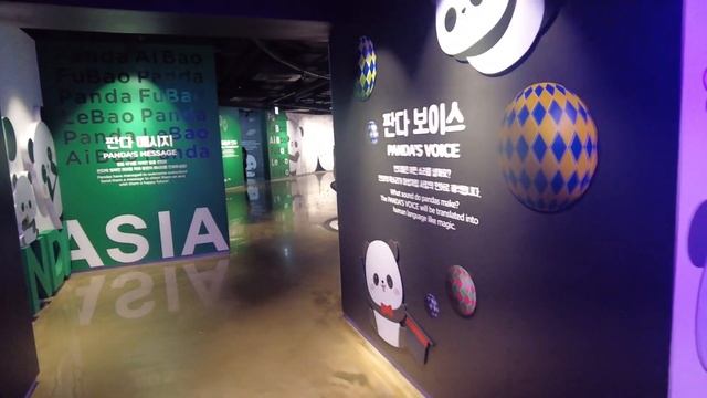 sub) 직장인 브이로그, 회사 옥상에서 나 혼자 캠핑, 에버랜드 판다월드(러바오, 아이바오, 푸바오),직장인 데일리룩, 출근룩, 사무직 브이로그, 대구, 일상 브이로그, 고양이