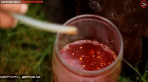 ЦЕЛЕБНЫЙ МУХОМОР приготовление