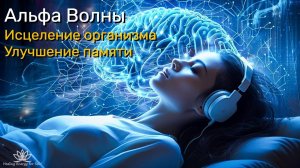 Альфа -волны исцеляют повреждение в организме, массаж мозга во время сна, улучшайте память