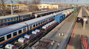 Поезда на вокзале, г. Гомель. Грузовой поезд, железная дорога.