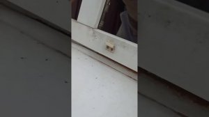 Промерзание окна