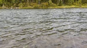 Волшебный фильм 15