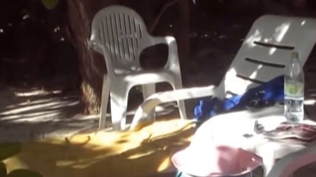 ворона воровка смотреть онлайн