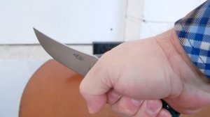 FBKNIFE Firebird FH923, D2, G10, от Ganzo