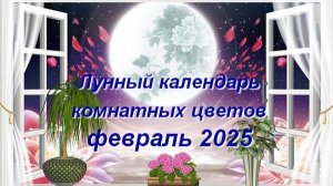 Лунный календарь комнатных растений и цветов на февраль 2025 года