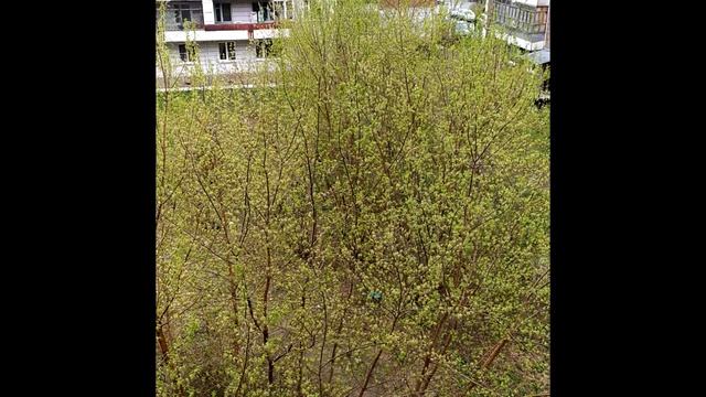 Доброе утречко
