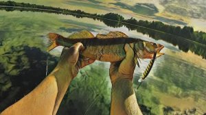 Троллинг,судак на осу у церкви -здесь ребята мёдом точно намазано