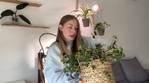 Обзор моей коллекции комнатных растений. Март 2024.