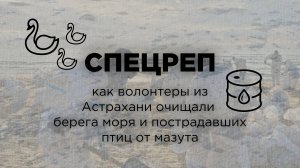 Астраханские волонтеры рассказали о ситуации, происходящей на берегах Анапы