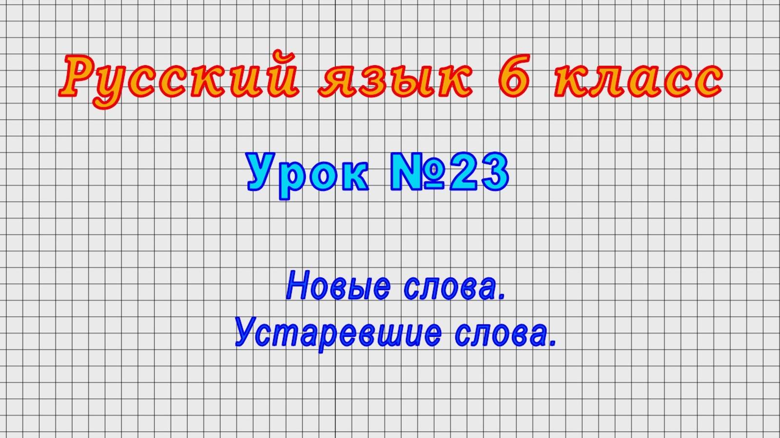 Русский язык 6 класс (Урок 23 - Новые слова. Устаревшие слова.)