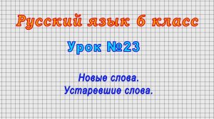 Русский язык 6 класс (Урок 23 - Новые слова. Устаревшие слова.)