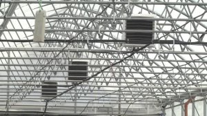 Новый выпуск Дачных советов - свежие вести с полей! А точнее из цеха и тепличного комплекса😉