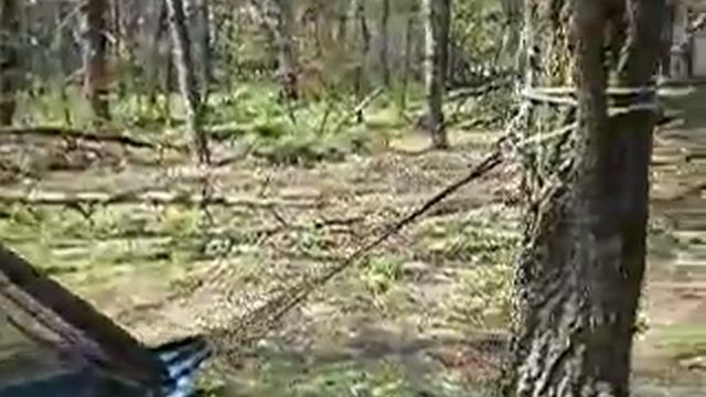 Гамак Amazonas Moskito Traveller смотреть онлайн