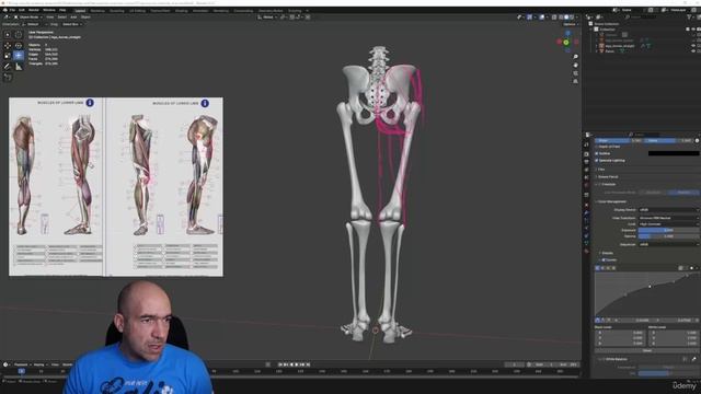 5 -Muscles of the leg P01