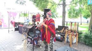 Tatanka Mohican - Последний из Могикан #музыка #индейцы