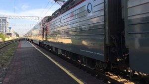 Скорый фирменный поезд "Северная пальмира"