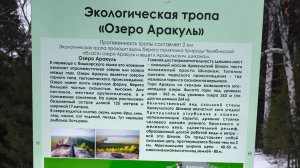 Зимний Аракуль
