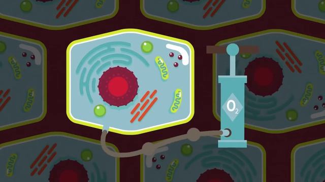 Все о массаже и массажистах в Москве и МО. Массаж Плюс смотреть онлайн