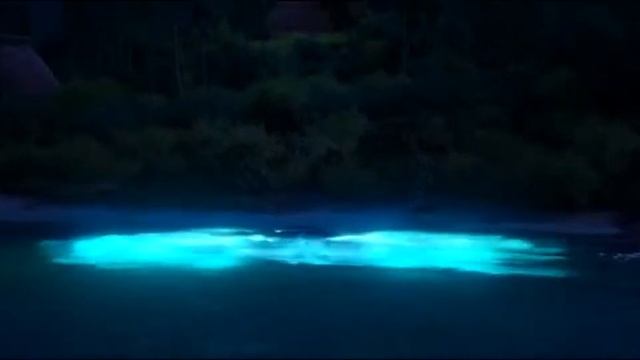 This is Mona song official enjoy mim-10 смотреть онлайн