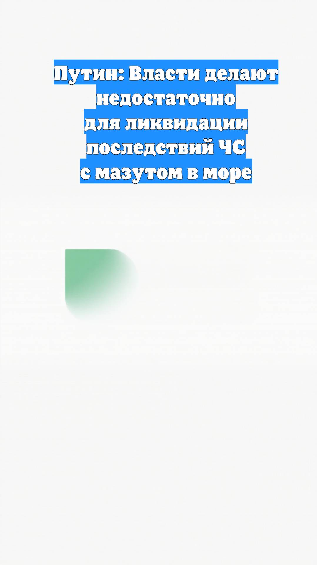 Путин: Власти делают недостаточно для ликвидации последствий ЧС с мазутом в море