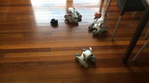 Comparison: Loona Robot & Vector Robot