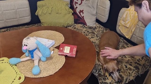 Связала сказочное чудо/ Желания сбываются хотя и разочаровывают. смотреть онлайн