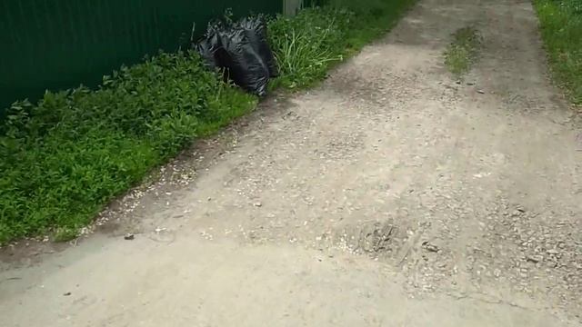 Зелёное удобрение,абсолютно бесплатное и мегаэфективное