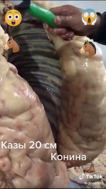 казы конина 20 см#казы #конина смотреть онлайн