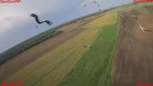 Беларусь Чудесная страна.Эксклюзив.