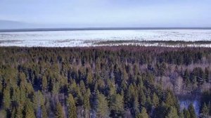 Природа зимой с высоты птичьего полёта