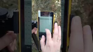 Алгоритм действий при локализации в ПО SurPad