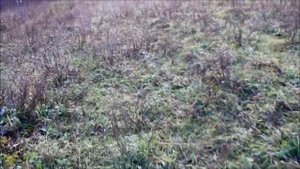 Кучность Чок Получок Стрельба по воде 2