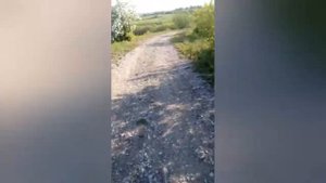 Будем кататься на тележке!