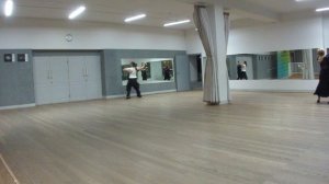 Февраль 2019, венский вальс