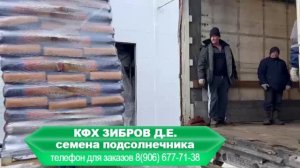 С завода забираем семена подсолнечника Санмарин (Sanmarin) 2022 год на посев в 2023 году