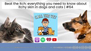 Beat the Itch: everything you need to know about itchy skin in dogs and cats | #64