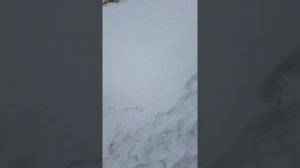 Уаз патриот 2019 МГ работа задней блокировки