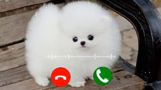 Smart sms message Ringtone | Message Tone | Cute sms Ringtone | Love ringtone | notification tone