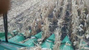 Уборка кукурузы