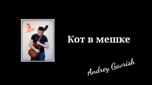 Кот в мешке. Кавер на песню Владимира Преснякова. Аранжировка и создание микса Андрей Гавриш.
