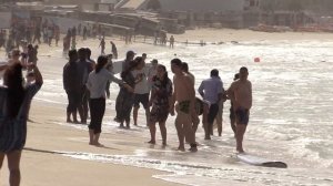 Дубай,  Jumeirah Public Beach  |  شاطئ جميرا العام