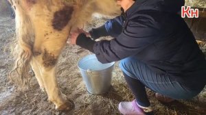 Деревенские будни