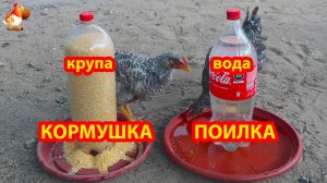 Кормушка и поилка из 2 л бутылок на подставке от цветочных горшков  ✂️🪚🪛