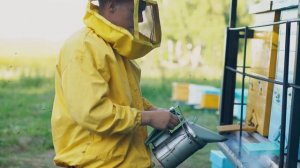 Один день из жизни пчеловода