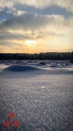 СИБИРЬ🏔️ЗИМА