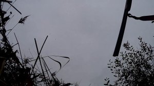 Охота на уток с ATA ARMS SP BLACK