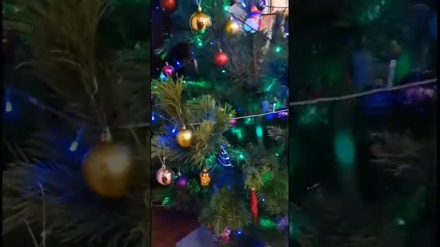 Воронеж Новый Год 2020 бабушка и дедушка ищут подарки