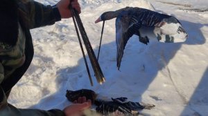 Махокрыл  Flywing - сборка комплектация