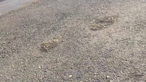 Вождение на камазе