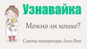 Можно ли кошке сыр, молоко, рыбу и альбуцид